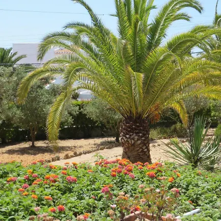 Vakantiehuis El Alcazar